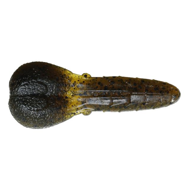 ǰ 