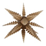 ǰ 