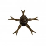 ��ǰ ������