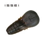 ��ǰ ������