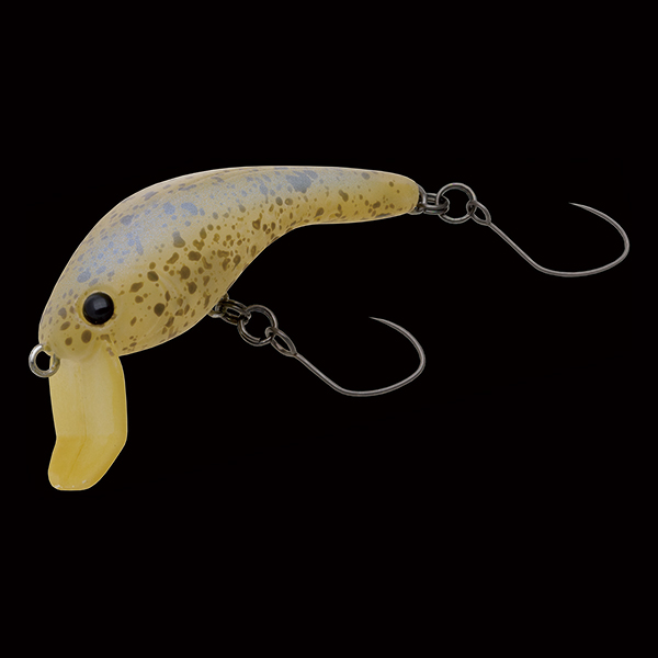 ��ǰ�̹���