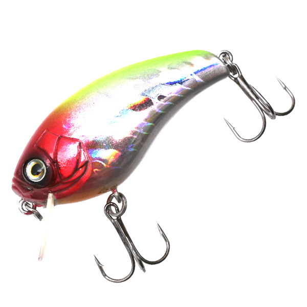 ��ǰ�̹���