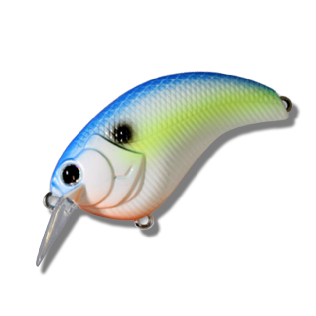 ��ǰ�̹���