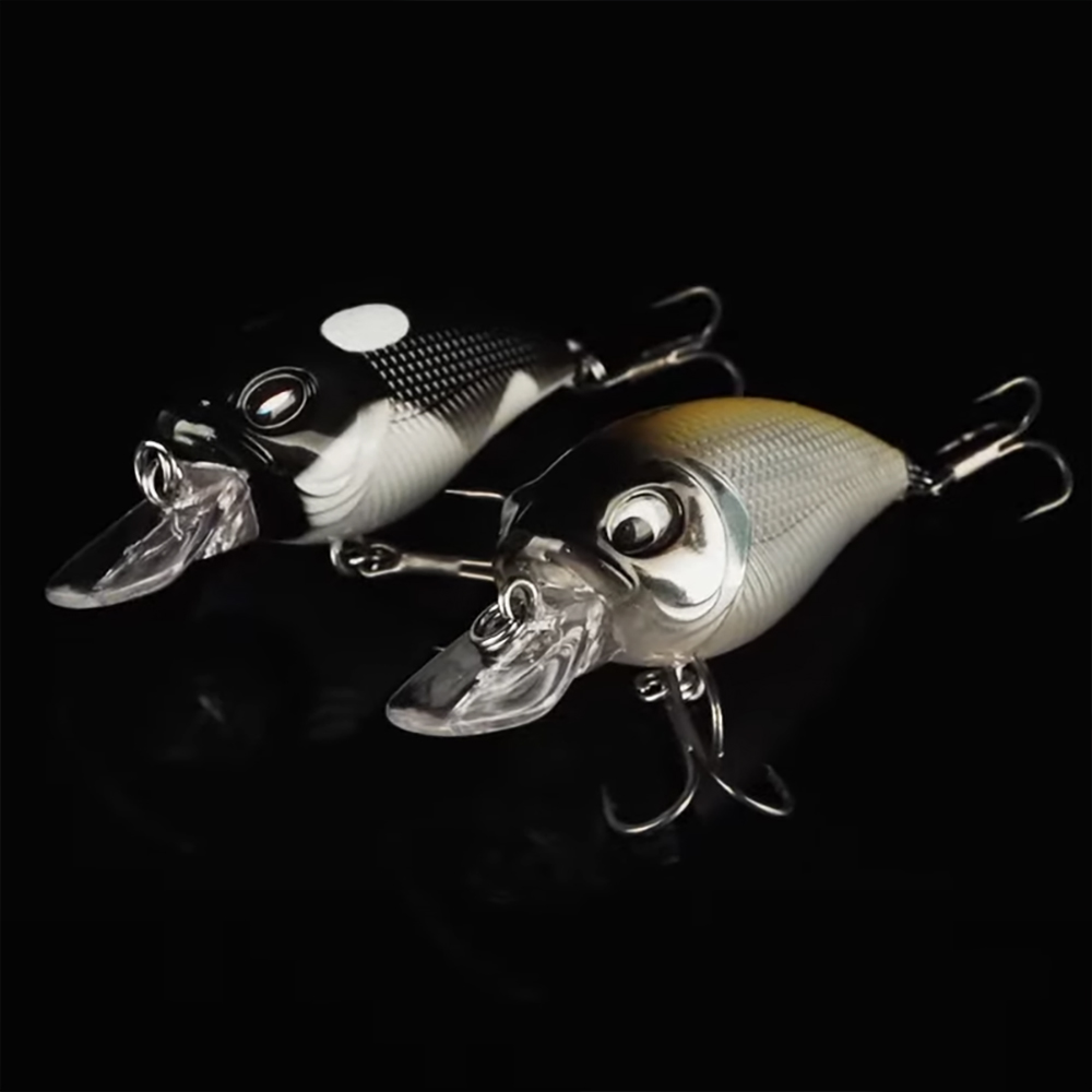 ��ǰ�̹���