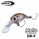 ��ǰ ������