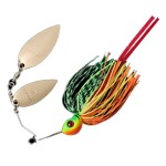 ��ǰ�̹���