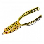 ��ǰ�̹���