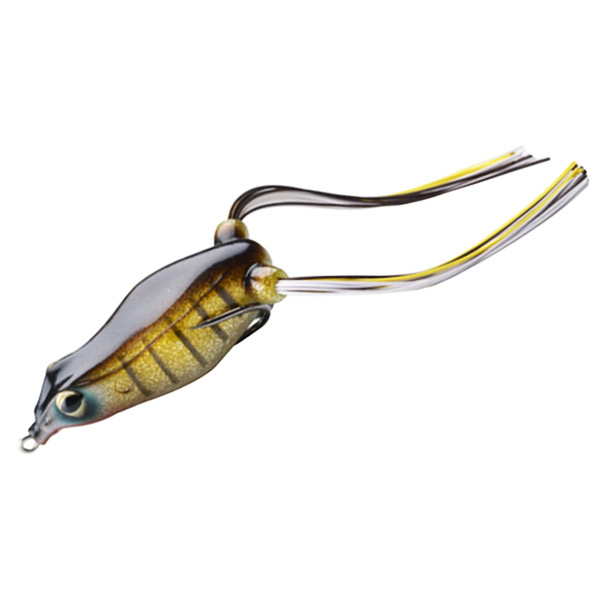 ��ǰ�̹���