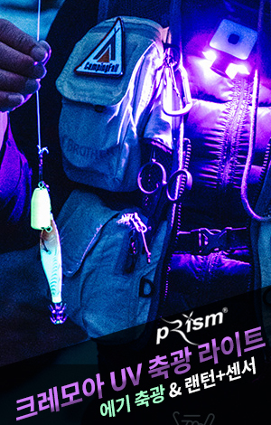 ǰ 