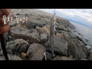 핫한 새만금 방조제 메탈지그낚시 / 삼치낚시꿀팁