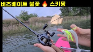배스낚시 똥바람속에 던져보는 버즈베이트 불꽃 스키핑