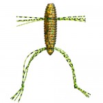 ǰ