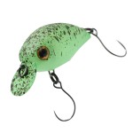 ��ǰ�̹���