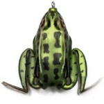 ǰ