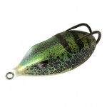 ��ǰ�̹���